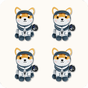 Asteroid Plush 4PCS